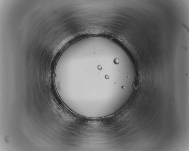 X0000102770440200809021033