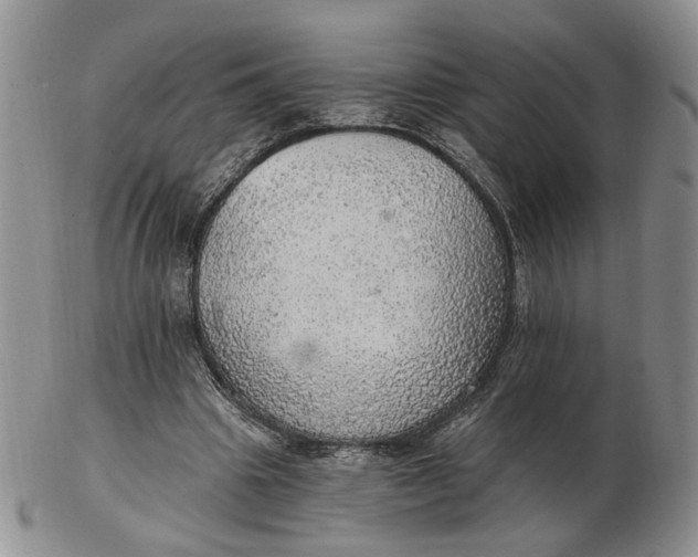 X0000102770441200809021033