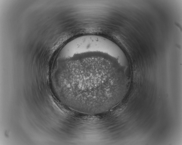 X0000102770443200809021033