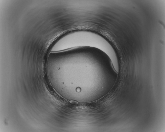 X0000102770444200809021033