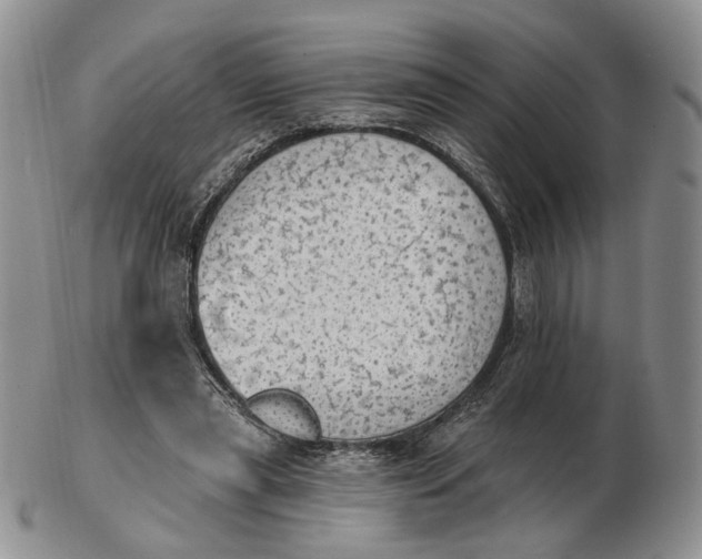 X0000102770445200809021033