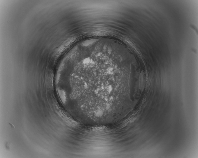 X0000102770446200809021033