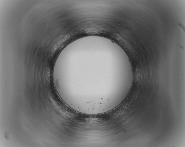 X0000102770448200809021033