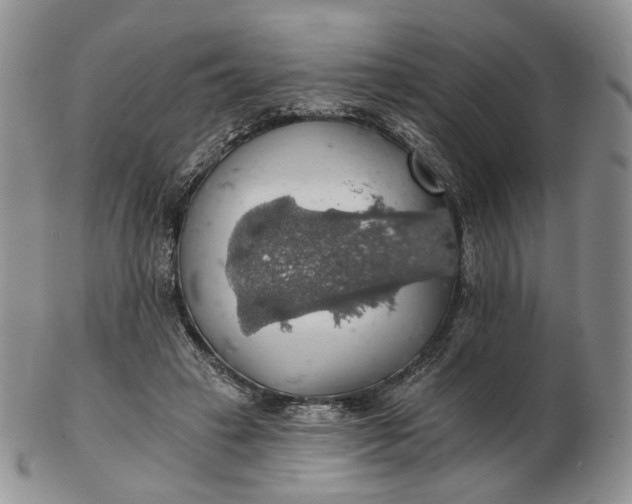 X0000102770449200809021033