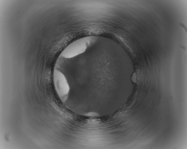 X0000102770451200809021033