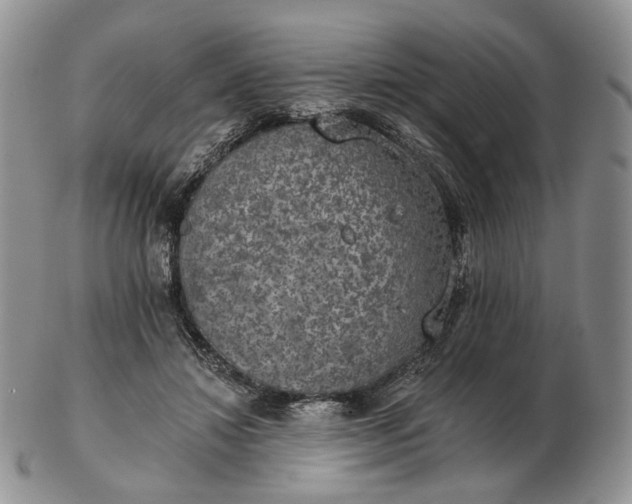 X0000102770452200809021033