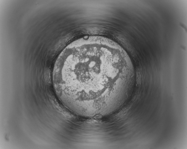 X0000102770453200809021033