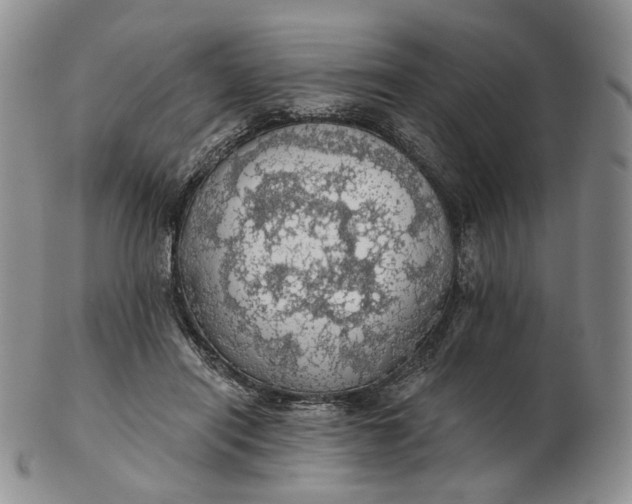 X0000102770454200809021033