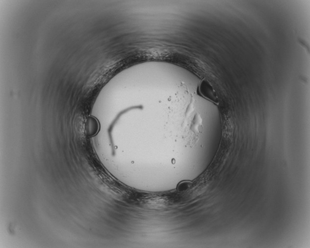 X0000102770456200809021033