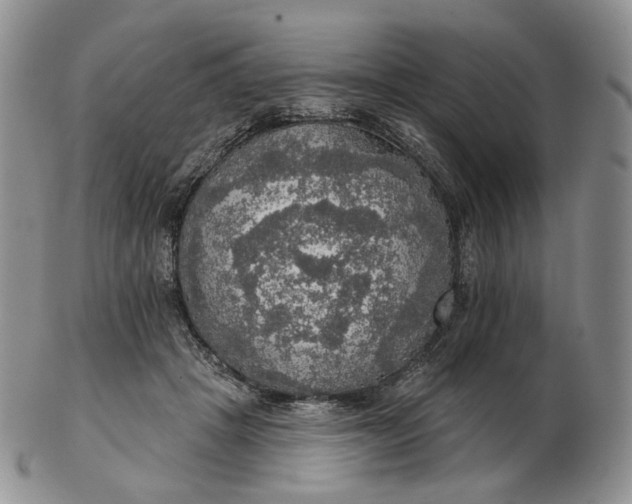 X0000102770457200809021033