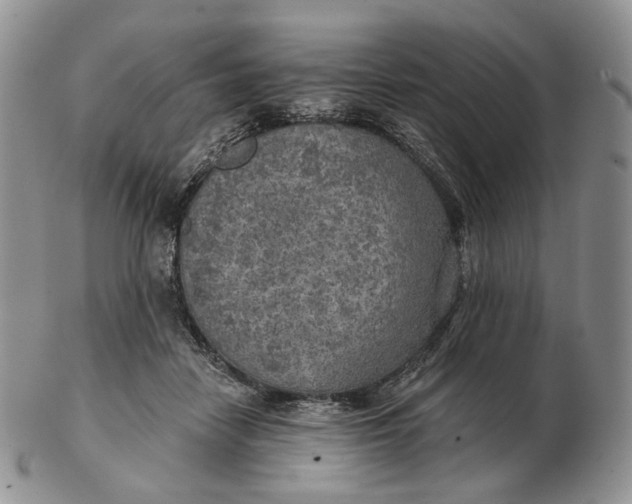 X0000102770458200809021033