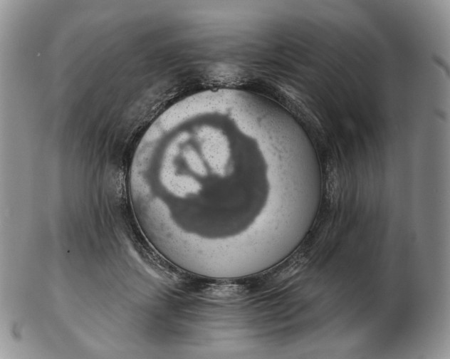 X0000102770459200809021033