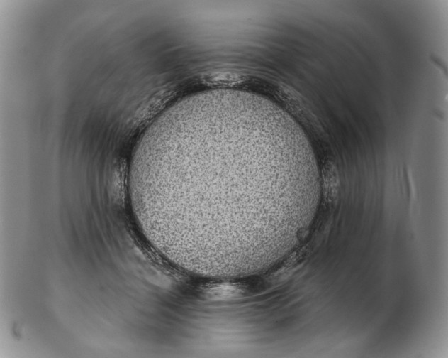 X0000102770460200809021033