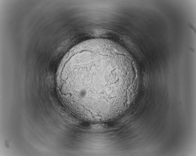 X0000102770461200809021033