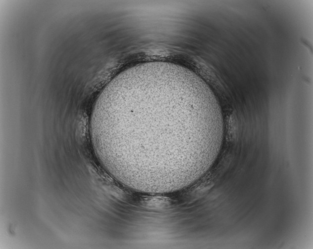 X0000102770463200809021033