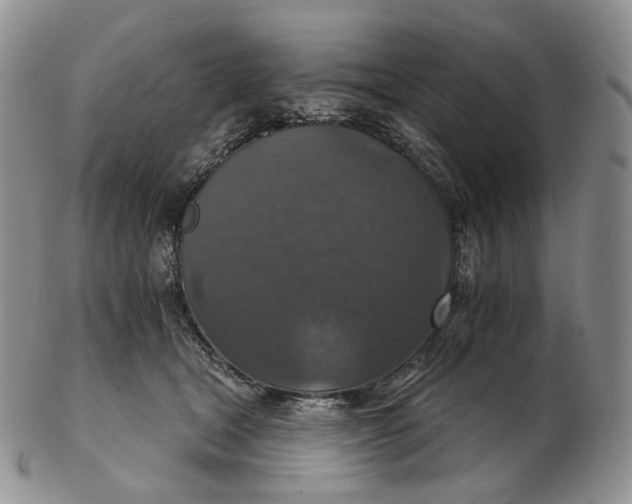 X0000102770465200809021033