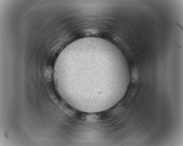 X0000102770468200809021033