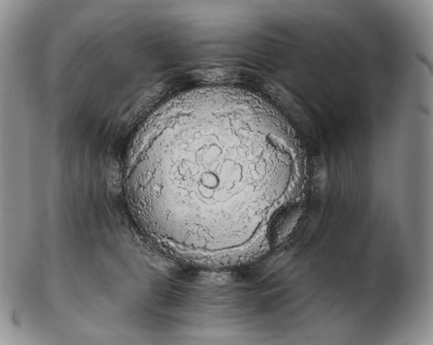 X0000102770469200809021033