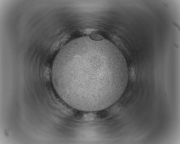 X0000102770470200809021033