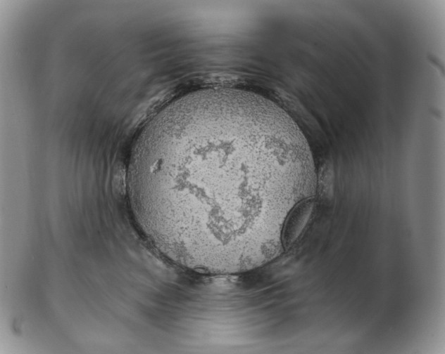 X0000102770474200809021033