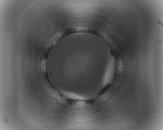 X0000102770475200809021033