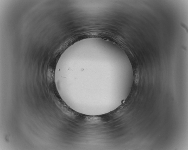 X0000102770476200809021033