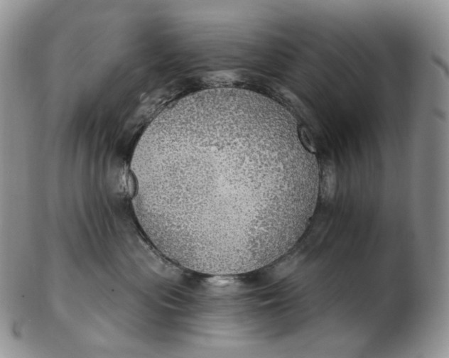 X0000102770477200809021033