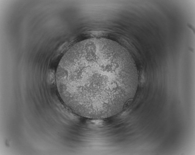 X0000102770478200809021033