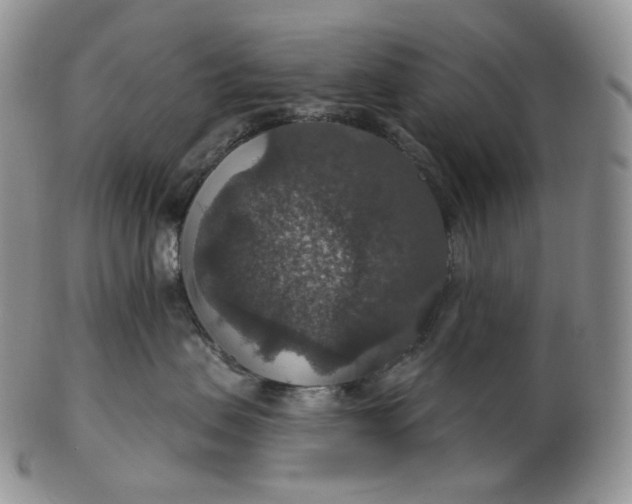 X0000102770479200809021033