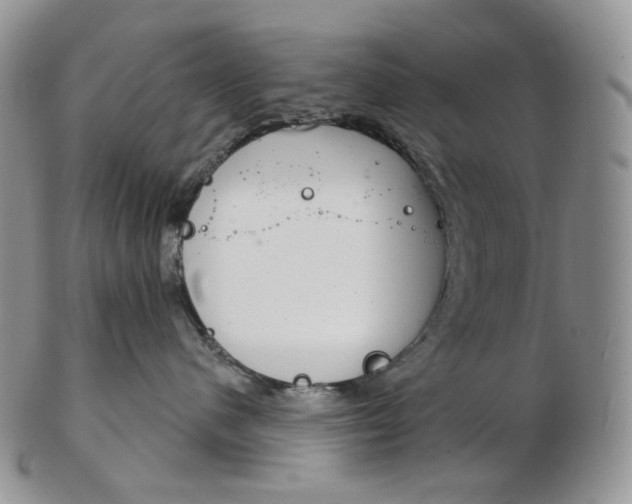 X0000102770480200809021033