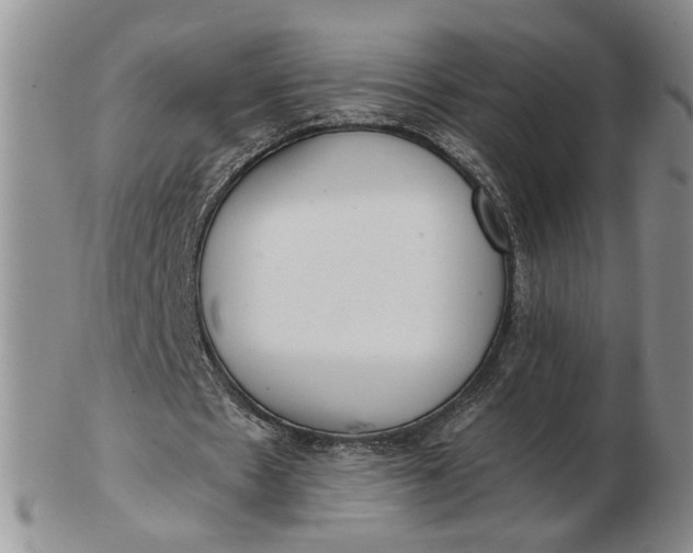 X0000102770481200809021033