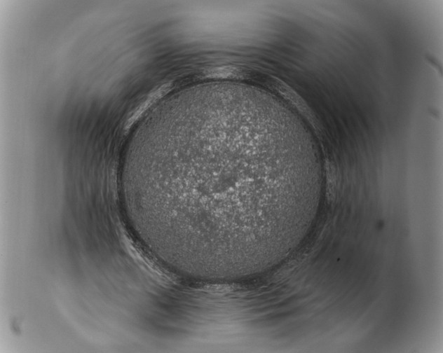 X0000102770482200809021033