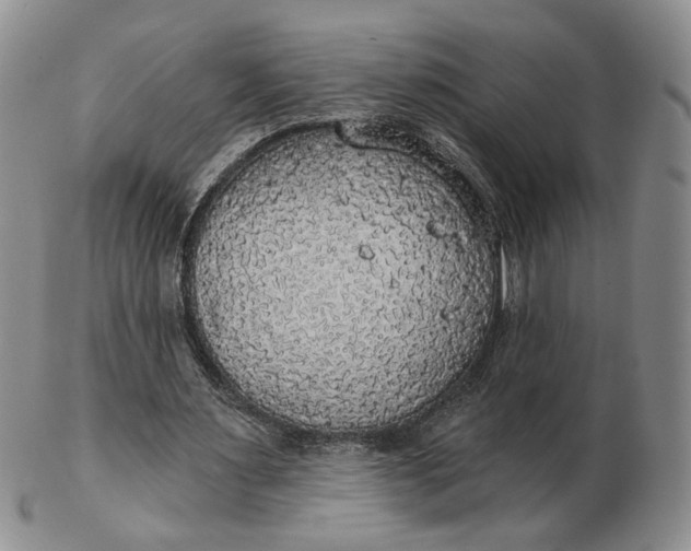 X0000102770483200809021033