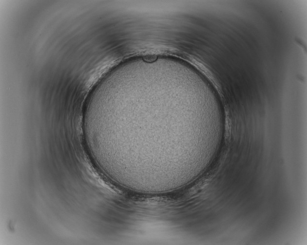 X0000102770485200809021033