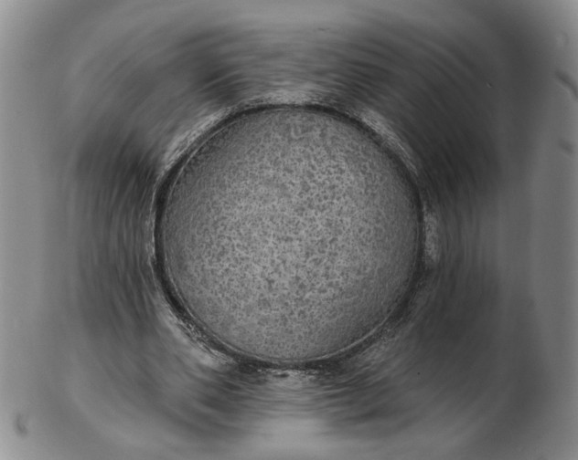 X0000102770486200809021033