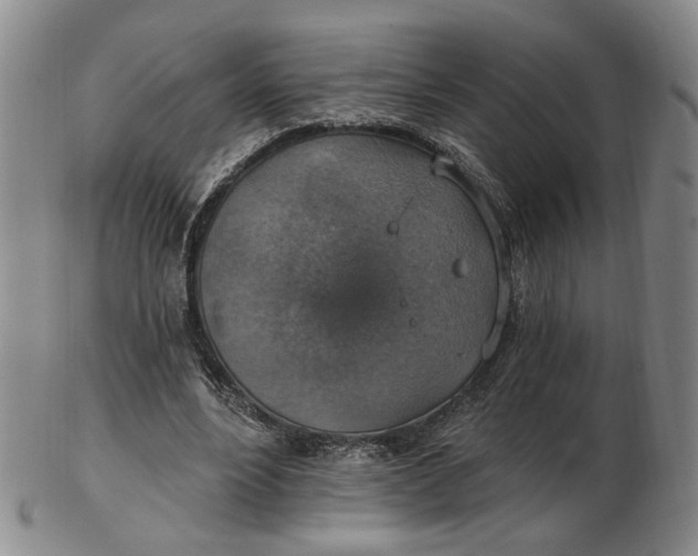 X0000102770488200809021033