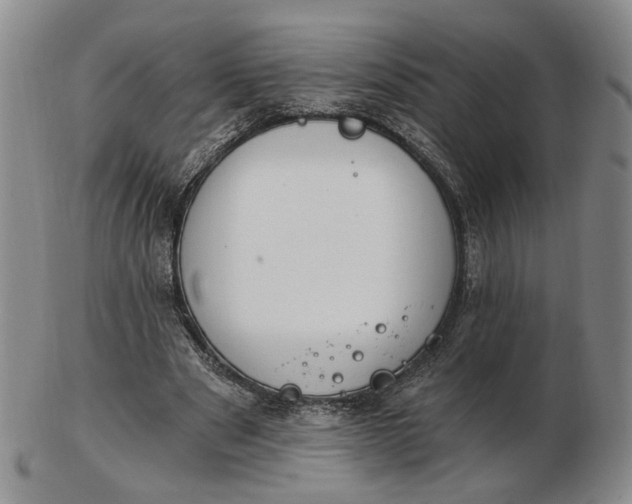 X0000102770489200809021033