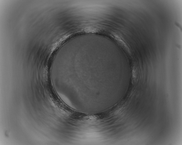 X0000102770492200809021033