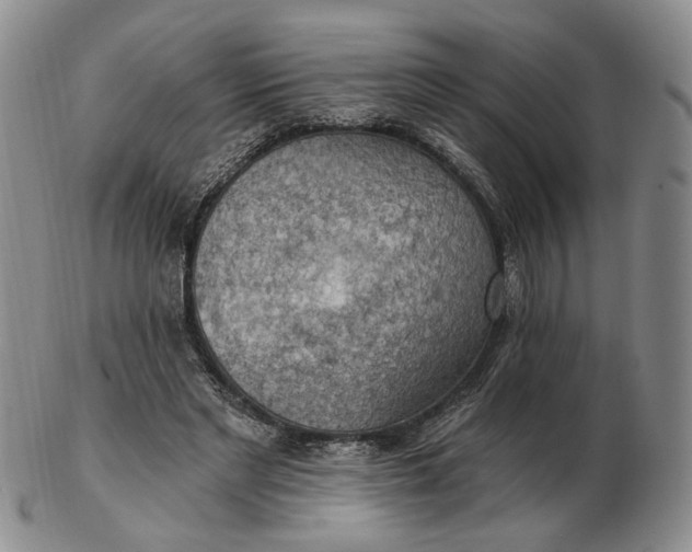 X0000102770493200809021033