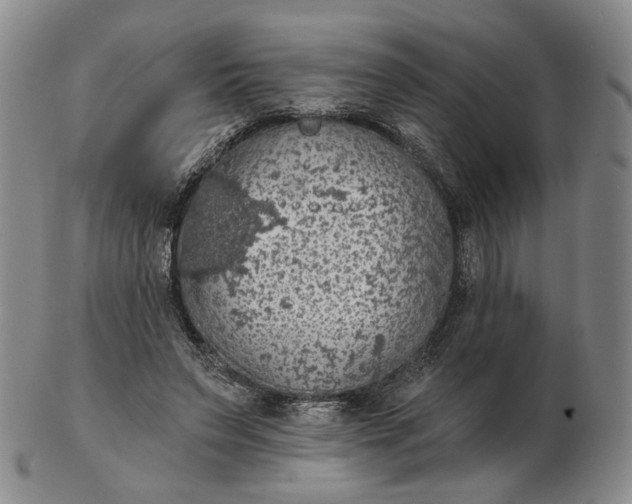 X0000102770495200809021033