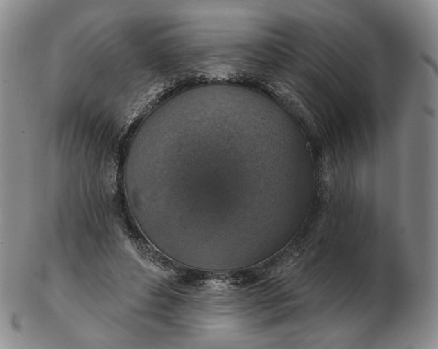 X0000102770496200809021033