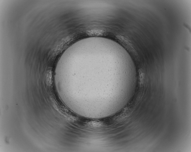 X0000102770498200809021033