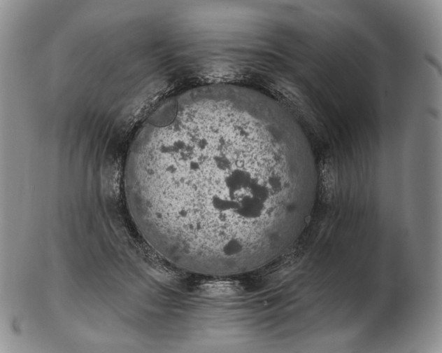 X0000102770499200809021033