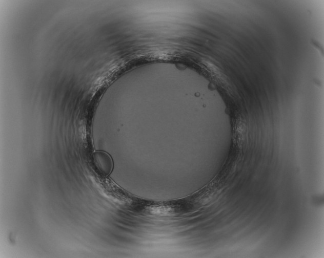 X0000102770500200809021033