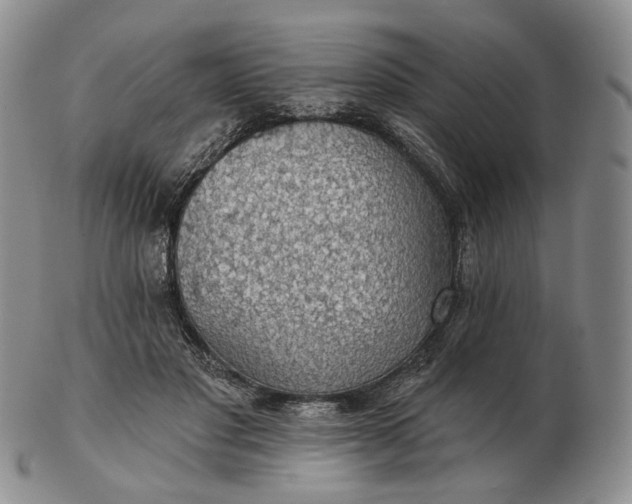 X0000102770501200809021033