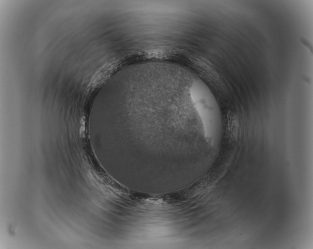 X0000102770502200809021033