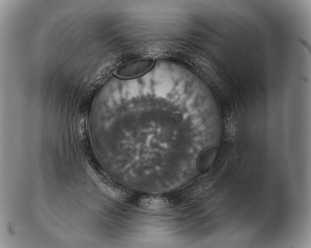 X0000102770503200809021033