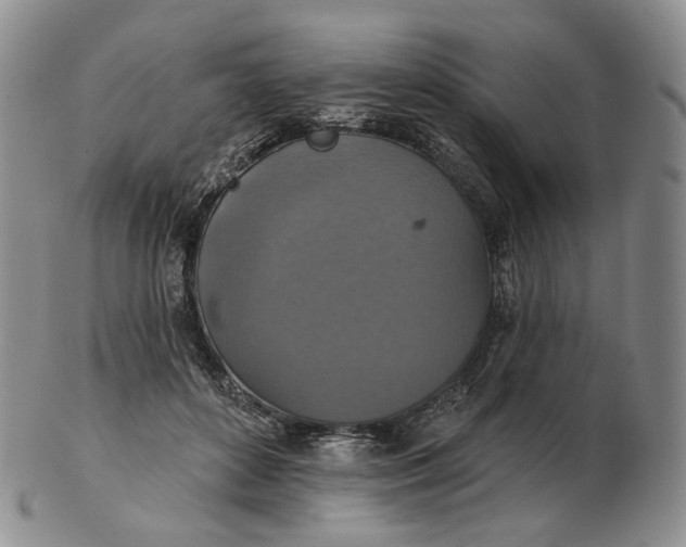 X0000102770504200809021032