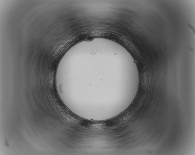 X0000102770505200809021032