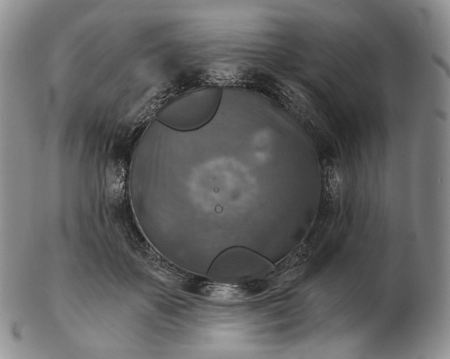 X0000102770507200809021032